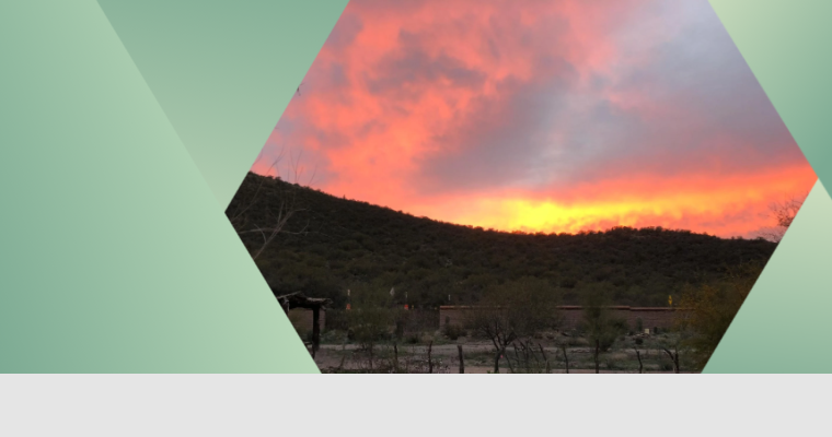 Summer Sunsets at Mission Garden